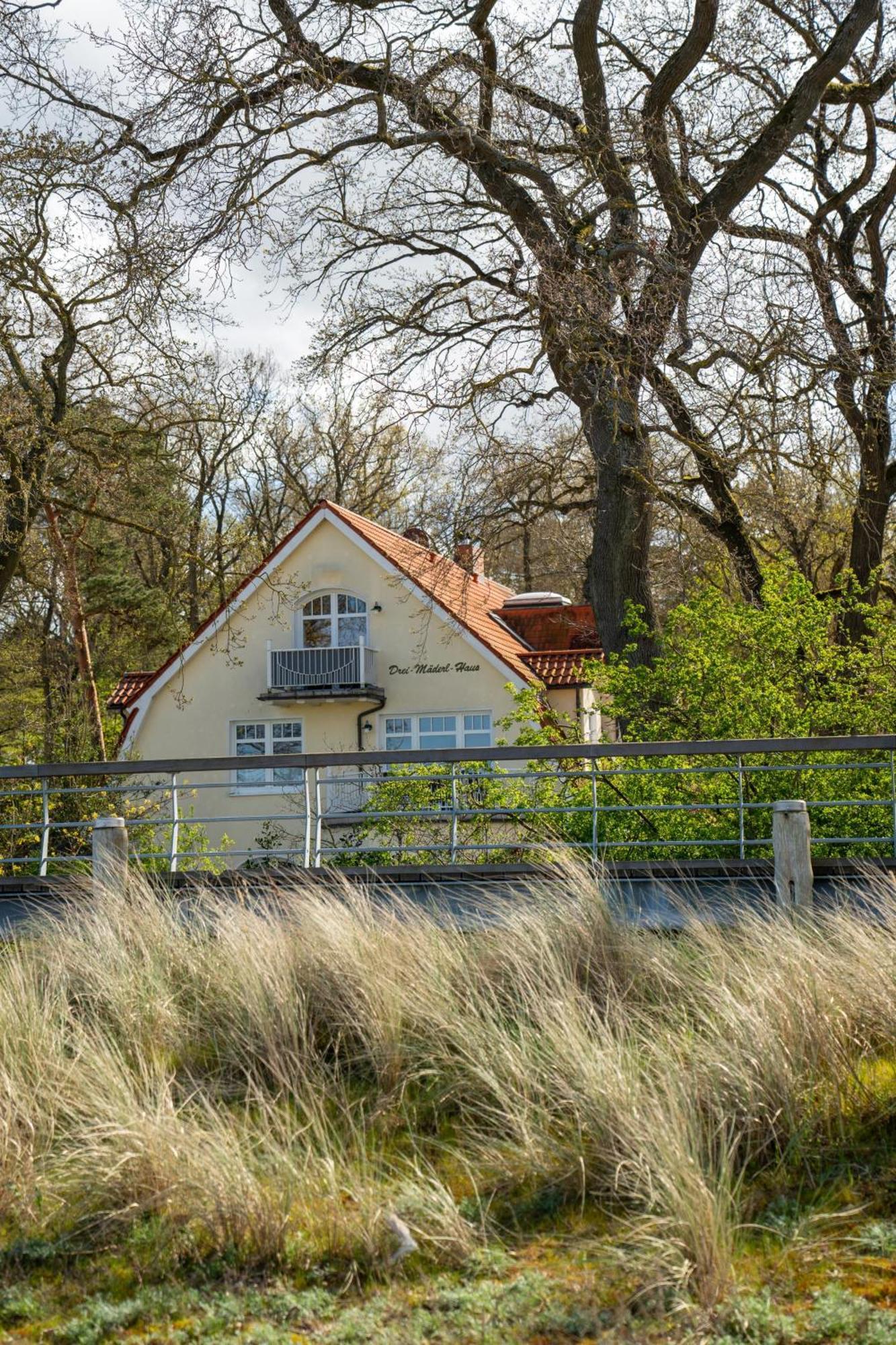 Strandvilla Drei Maederl Haus ボルテンハーゲン エクステリア 写真